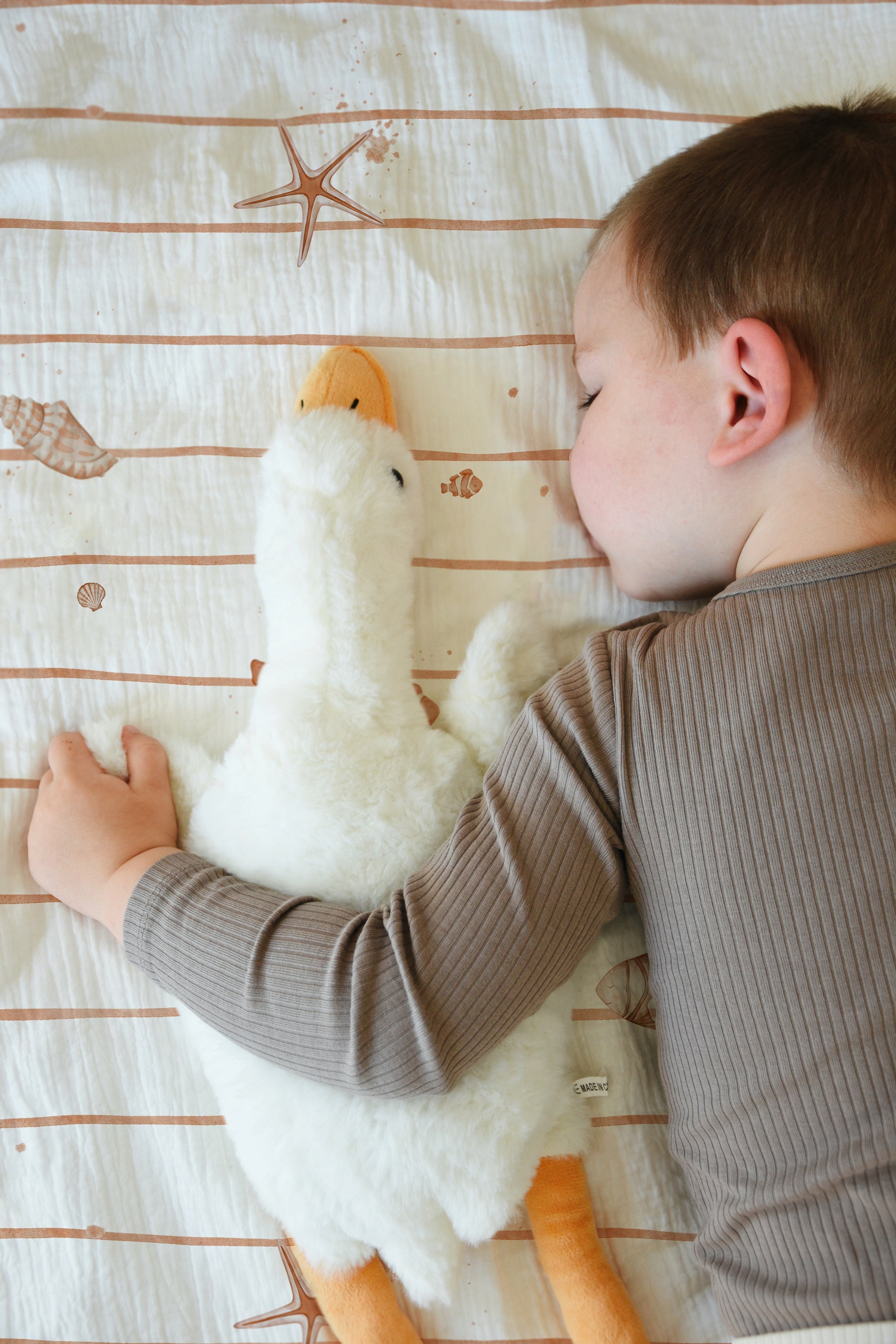 Little Starfish Crib Bedding